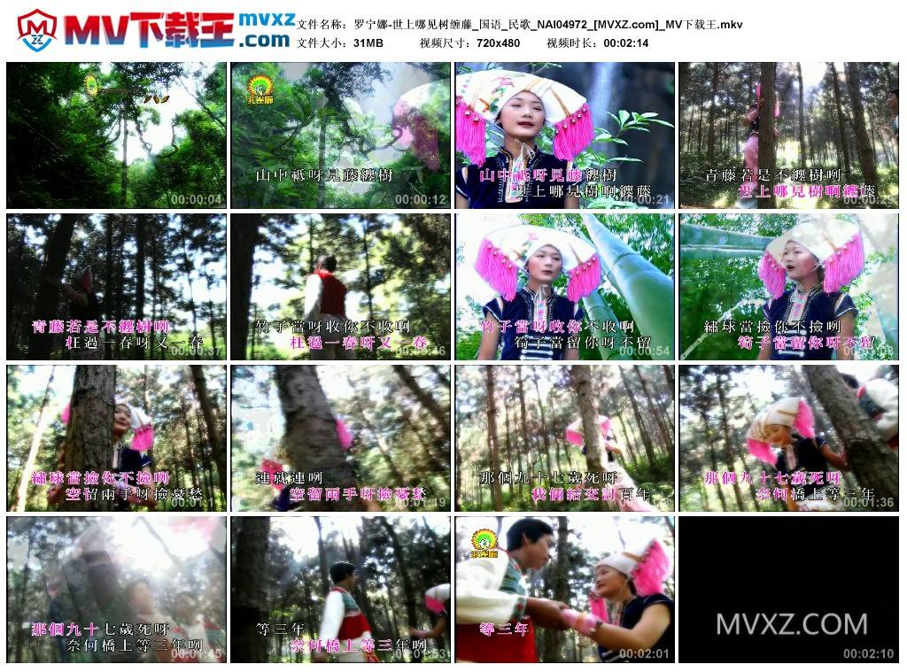 罗宁娜-世上哪见树缠藤_国语_民歌_NAI04972